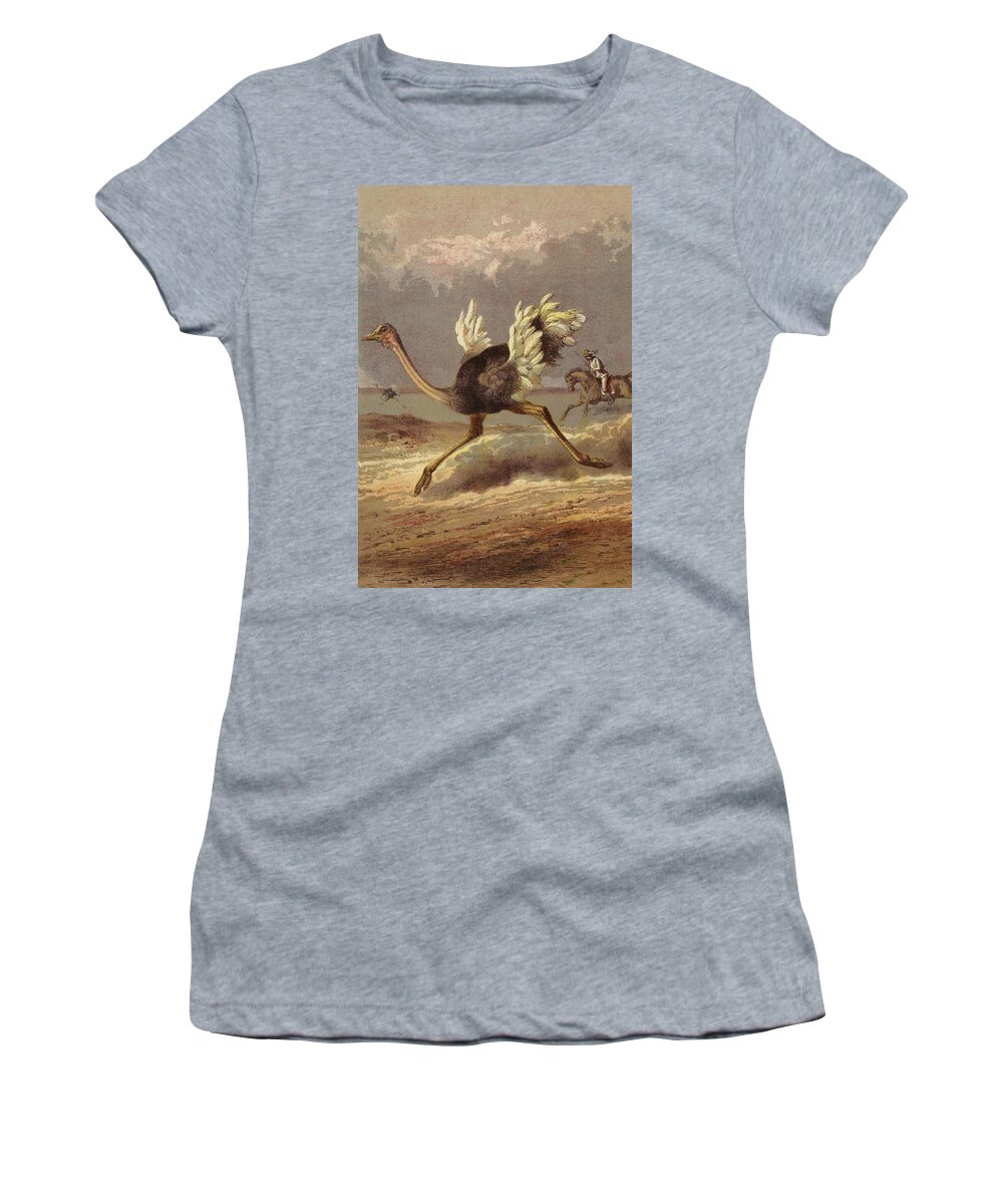 Ostrich Women's T-Shirt featuring the painting Chasing The Ostrich by English School