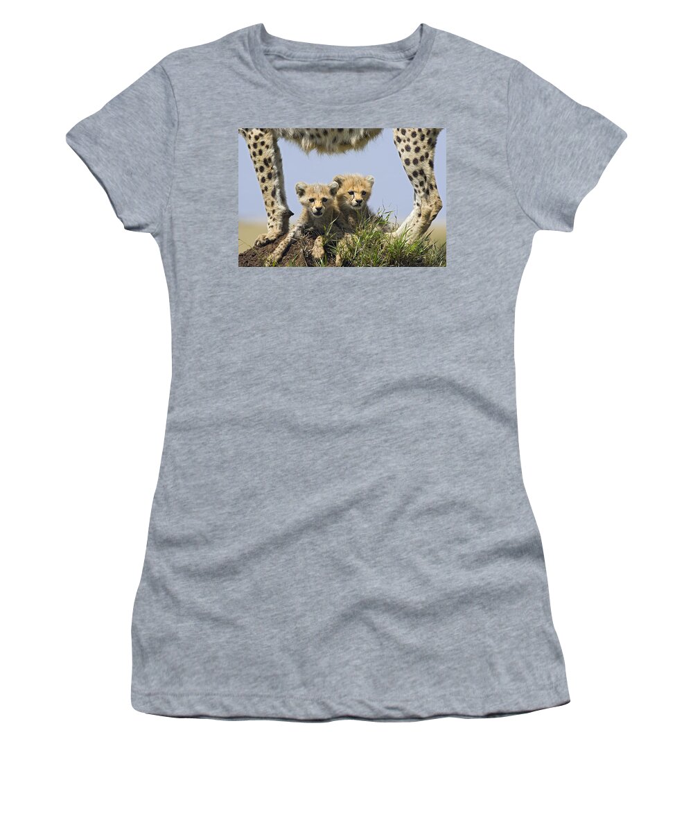 Suzi Eszterhas Women's T-Shirt featuring the photograph Cheetah Mother And Cubs Maasai Mara by Suzi Eszterhas