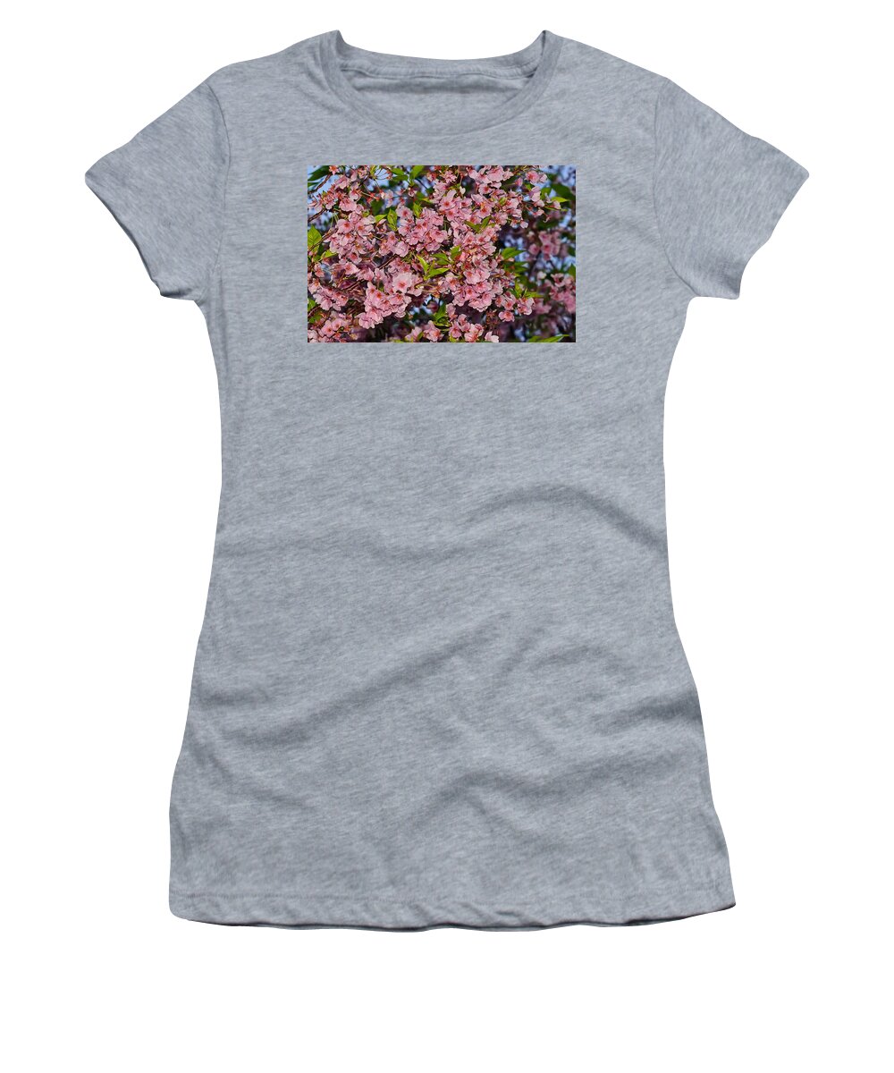 America Women's T-Shirt featuring the photograph Cherry Blossoms in Our Nation's Capital by Mitchell R Grosky