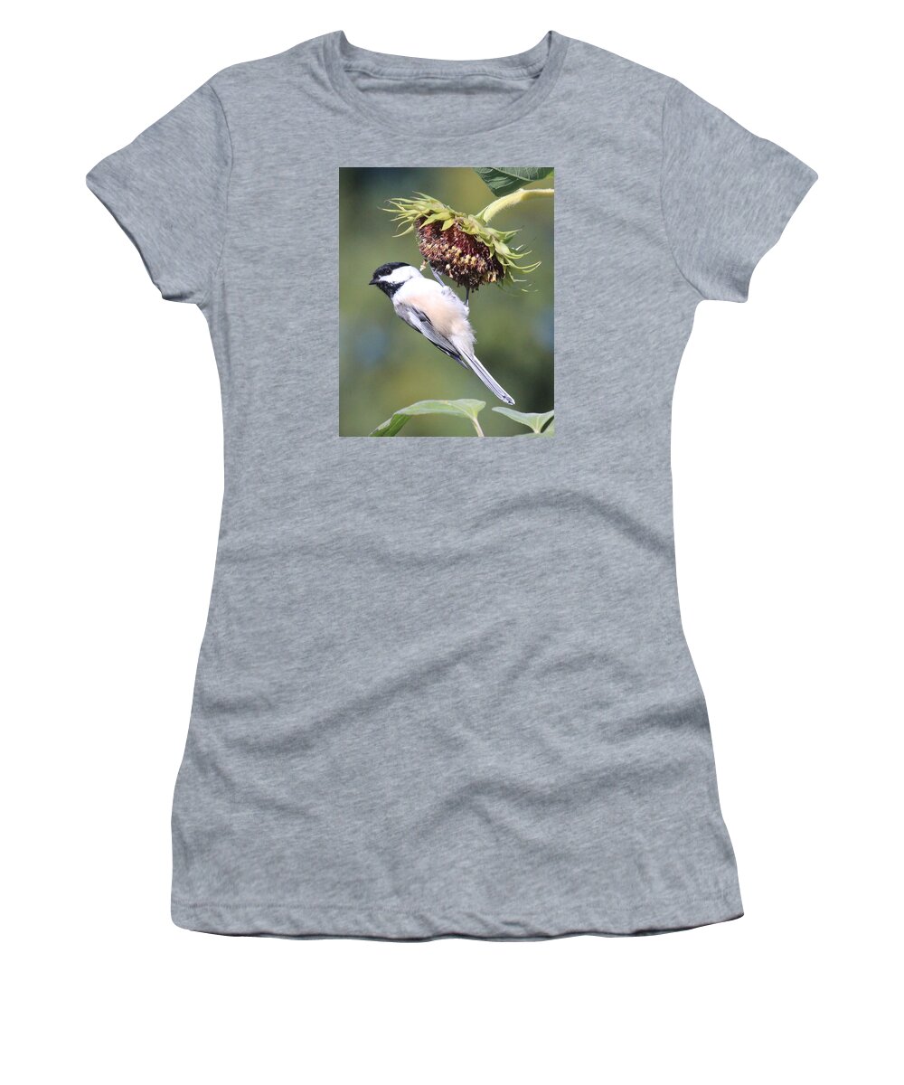 Chickadee Women's T-Shirt featuring the photograph Chickadee on Sunflower by Lucinda VanVleck