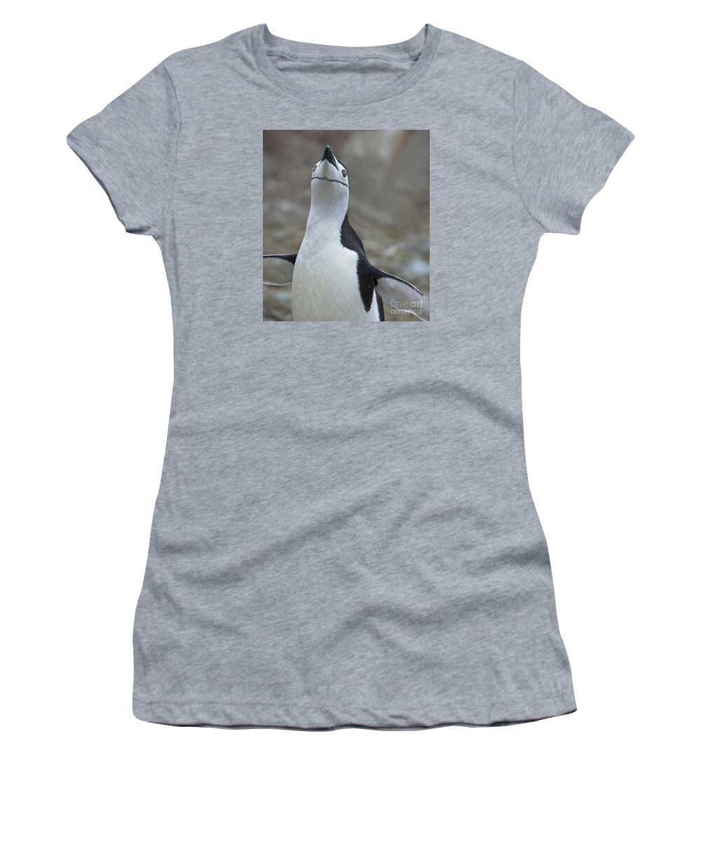 Festblues Women's T-Shirt featuring the photograph Chinstrap Madness... by Nina Stavlund