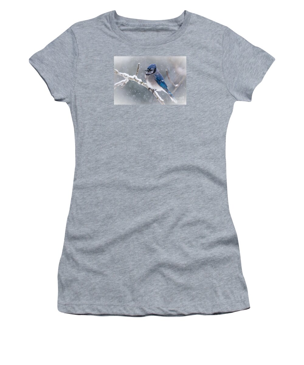 Blue Jay Women's T-Shirt featuring the photograph Christmas Card BlueJay by Cheryl Baxter