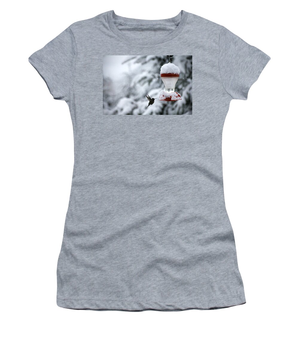 Snow Women's T-Shirt featuring the photograph Christmas Hummingbird by KATIE Vigil