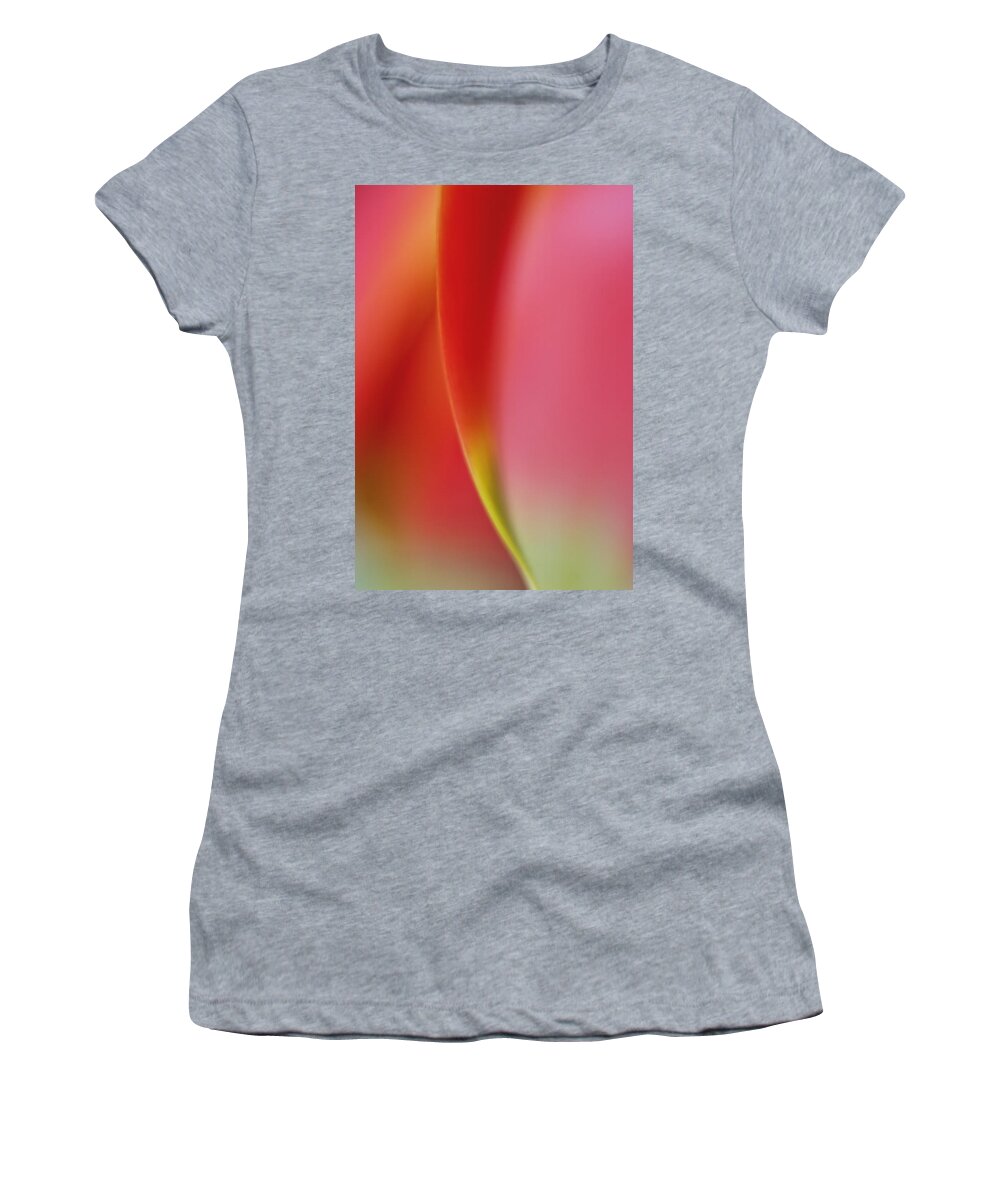 Abstract Women's T-Shirt featuring the photograph Color and Form in Nature by David and Carol Kelly