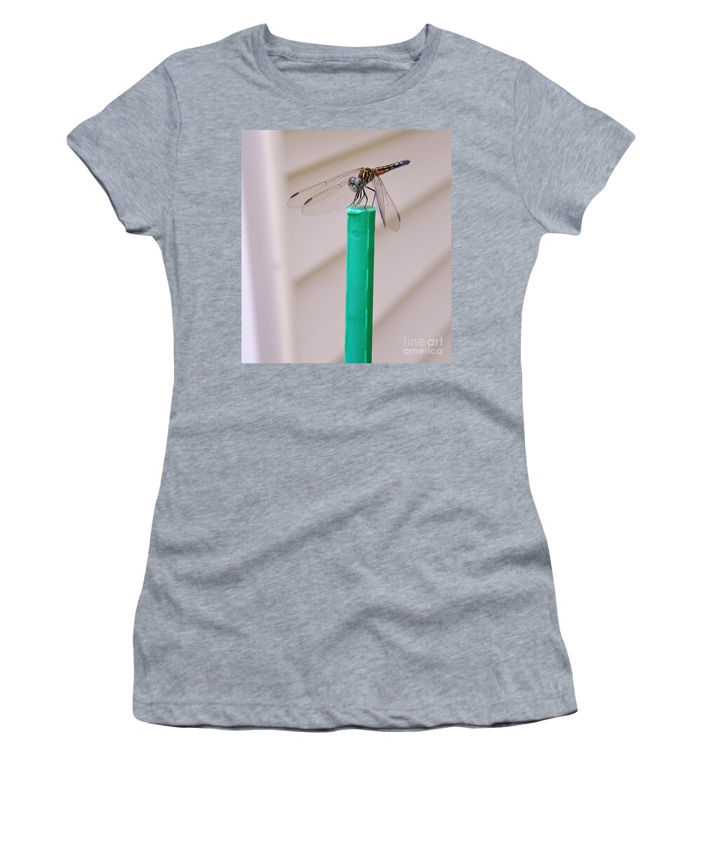 Drafonfly Women's T-Shirt featuring the photograph Colors Of Summer by Matthew Seufer
