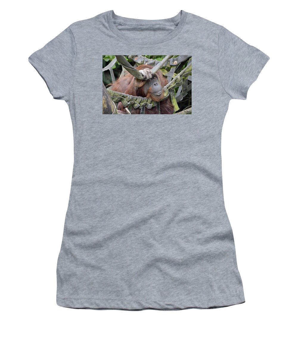 Orangutan Women's T-Shirt featuring the photograph Contemplation by Shanna Hyatt