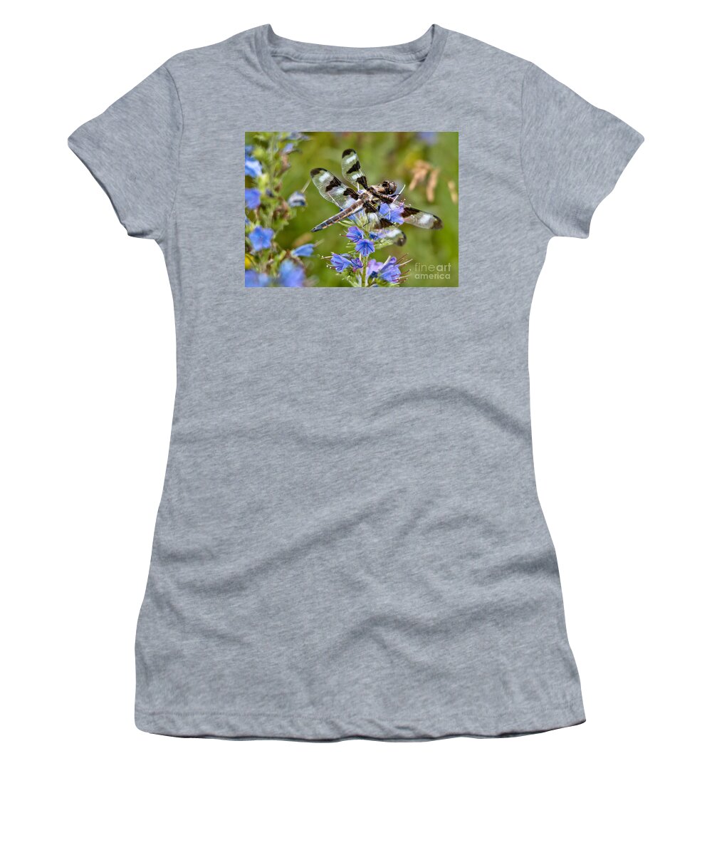 Dragonfly Women's T-Shirt featuring the photograph Contrasting Beauty by Cheryl Baxter