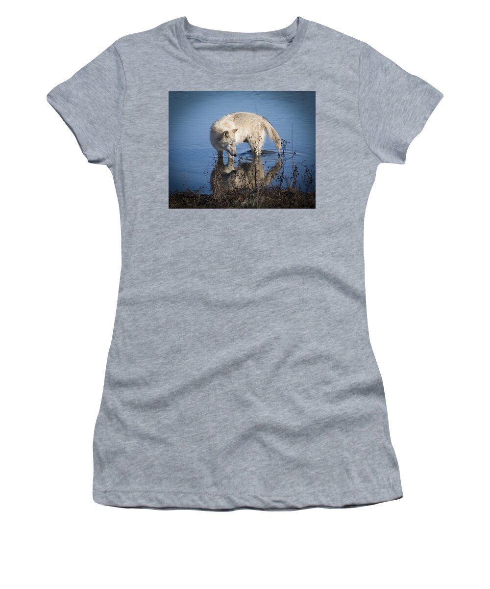Animal Women's T-Shirt featuring the photograph Cooling Off by Jack R Perry