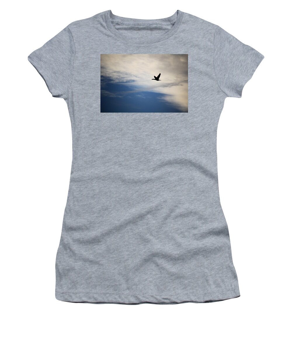 Cormorant Women's T-Shirt featuring the photograph Cormorant in Flight by Andrew Pacheco
