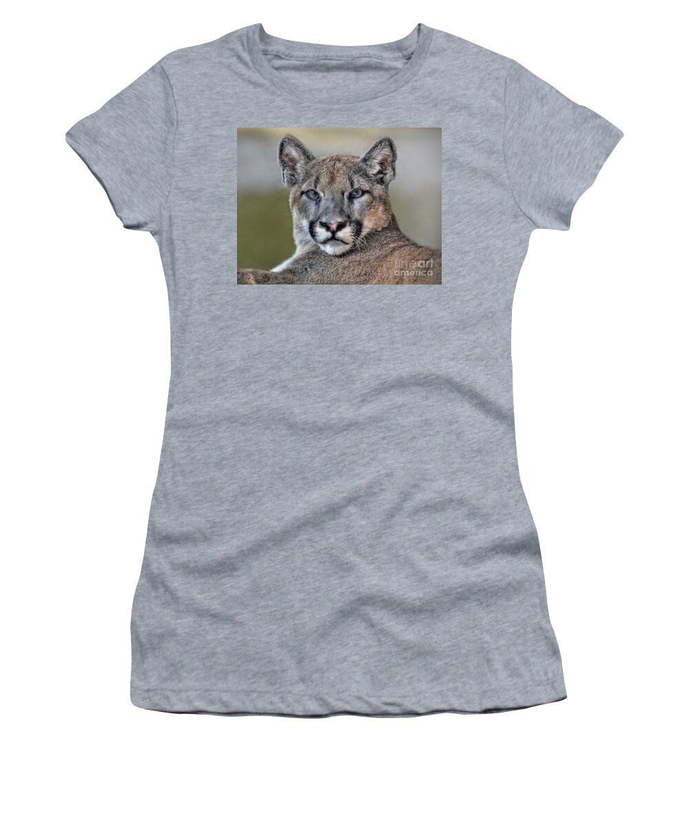 Cougar Women's T-Shirt featuring the photograph Cougar by Savannah Gibbs