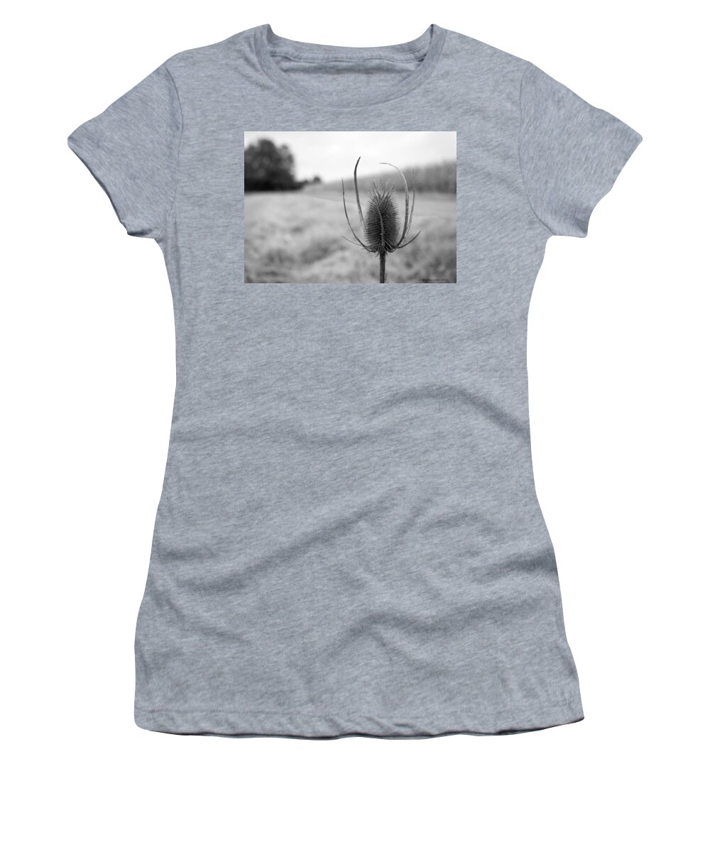 Fields Women's T-Shirt featuring the photograph Country Fields by Miguel Winterpacht