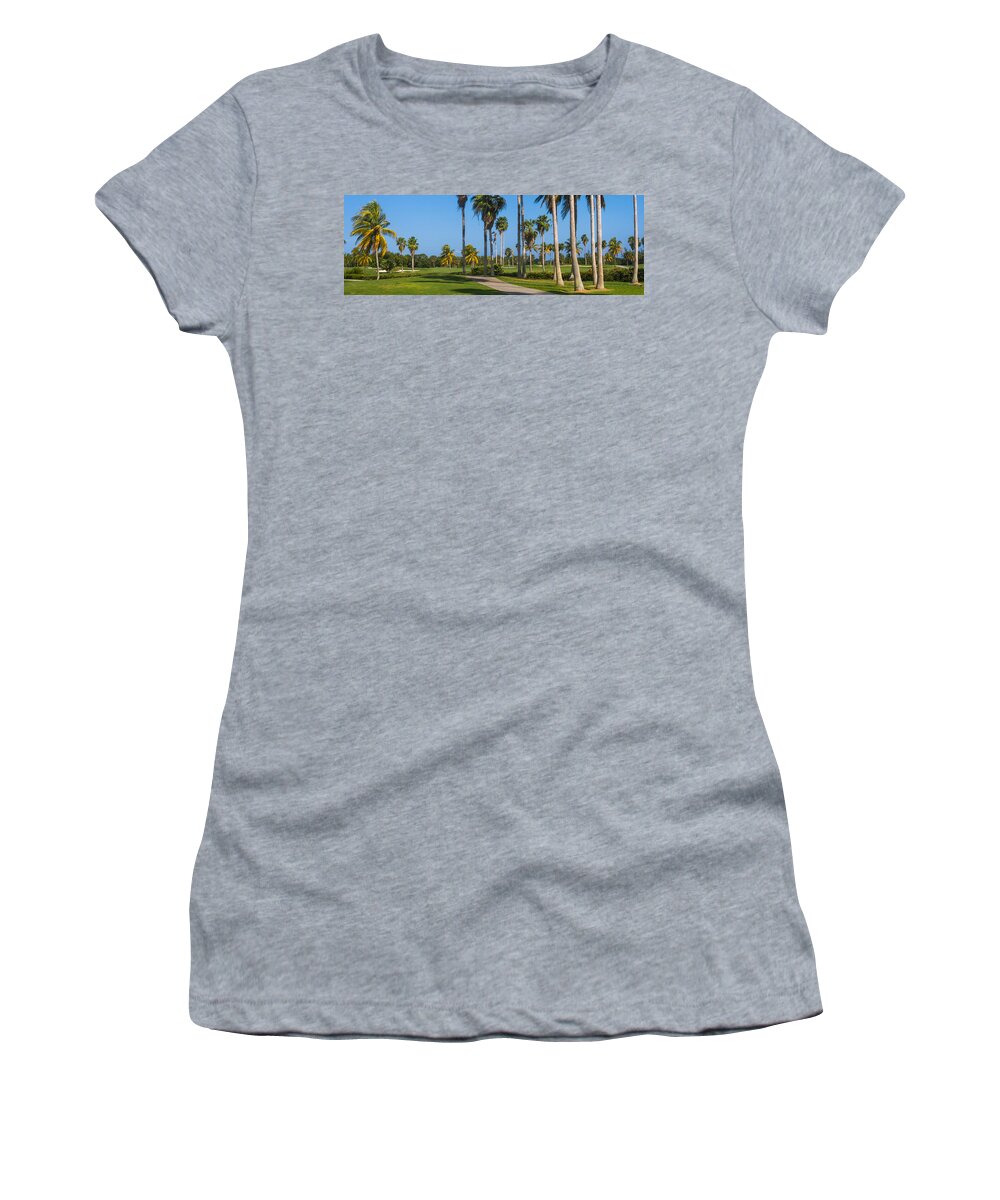 Biscayne Women's T-Shirt featuring the photograph Crandon Park Palms by Ed Gleichman