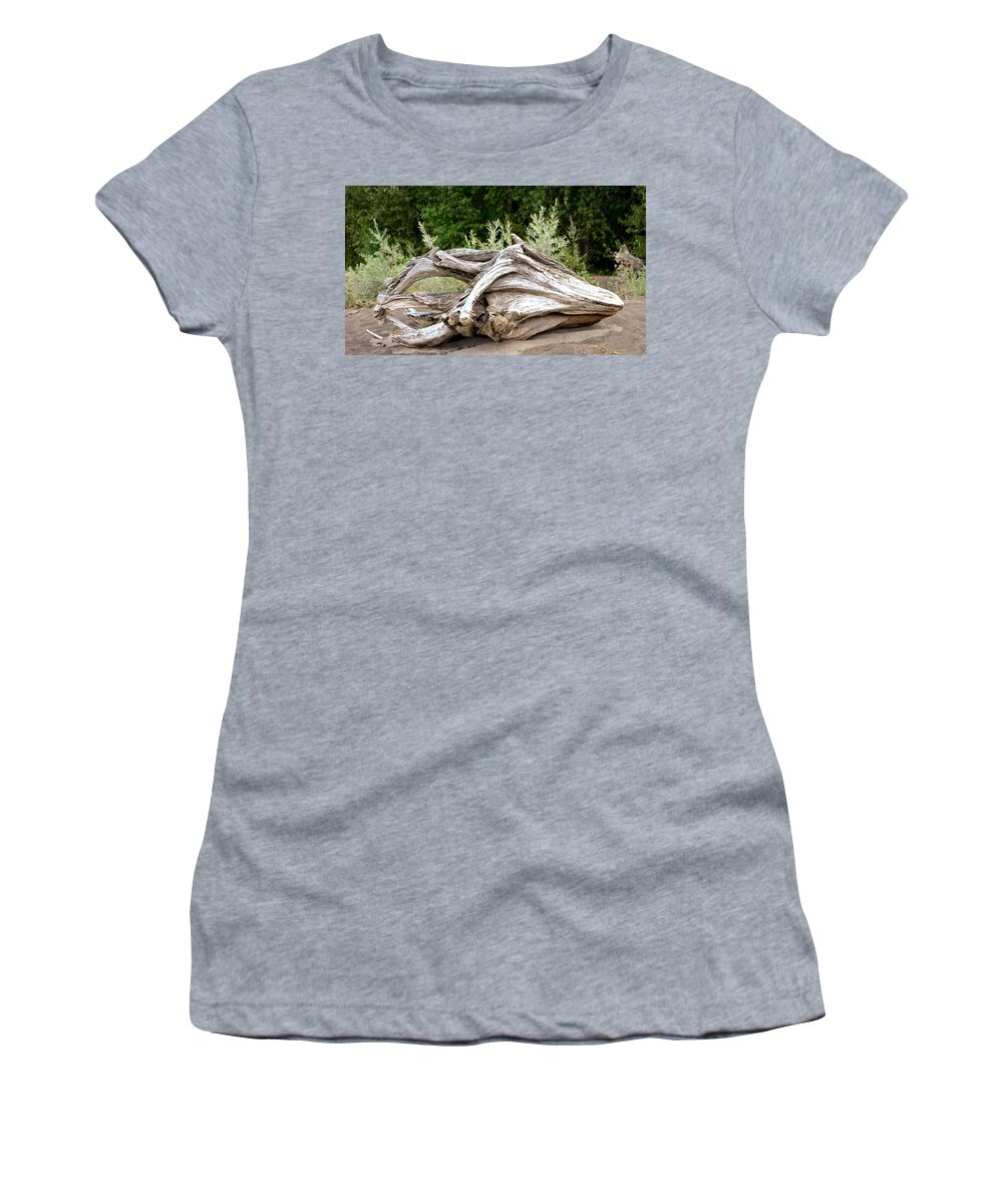 Driftwood Women's T-Shirt featuring the photograph Cranial Drift by Laureen Murtha Menzl