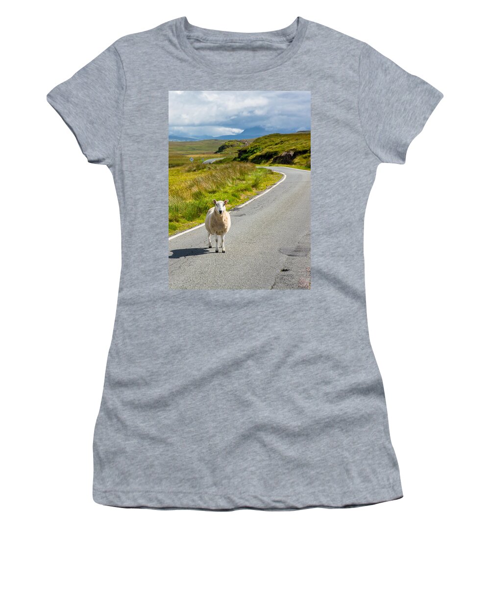 Scotland Women's T-Shirt featuring the photograph Curious Sheep On Scottish Road by Andreas Berthold