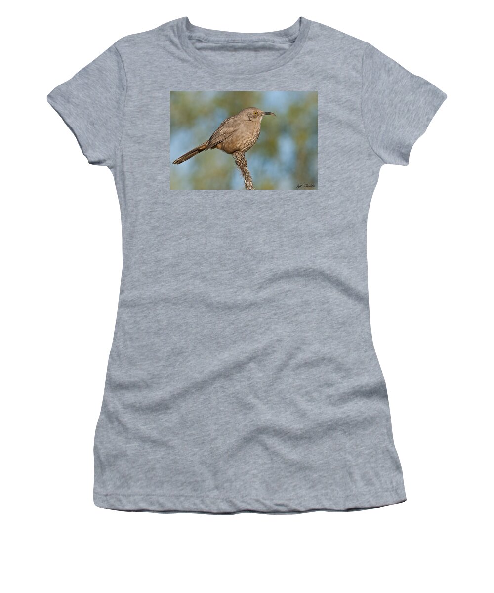 Animal Women's T-Shirt featuring the photograph Curve-Billed Thrasher by Jeff Goulden