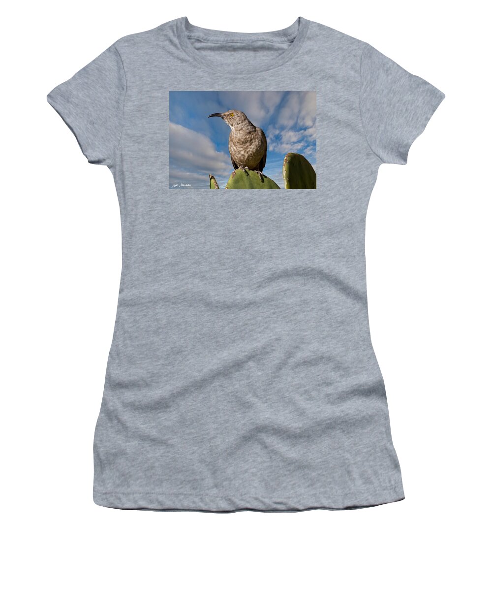 Animal Women's T-Shirt featuring the photograph Curve-Billed Thrasher on a Prickly Pear Cactus by Jeff Goulden