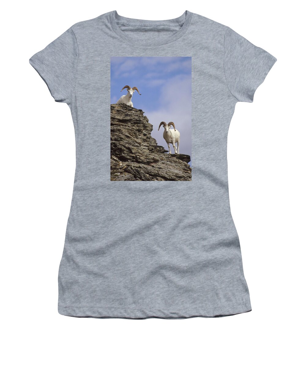 Feb0514 Women's T-Shirt featuring the photograph Dalls Sheep On Rock Outcrop North by Michael Quinton