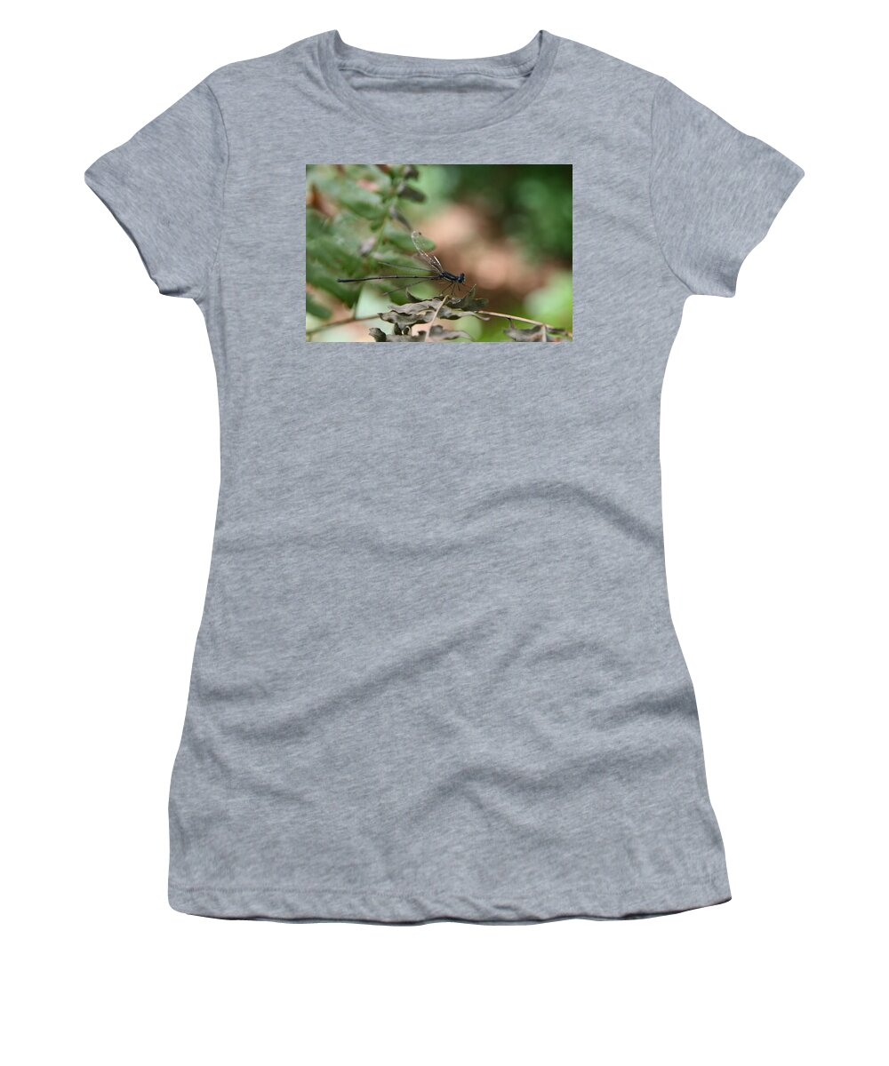 Damselfly Women's T-Shirt featuring the photograph Damselfly by Neal Eslinger
