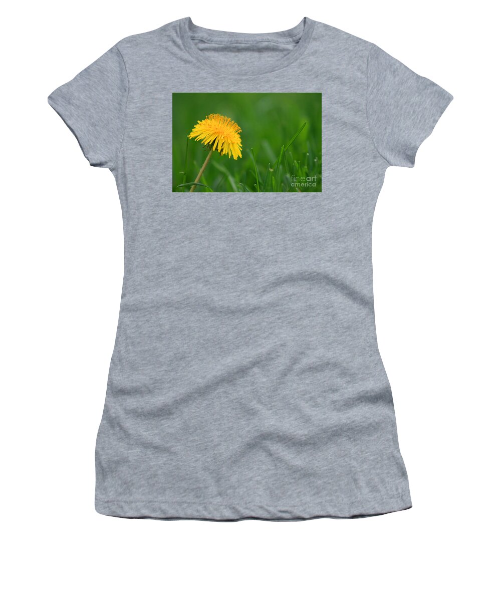 Flower Women's T-Shirt featuring the photograph Dandelion Flower by Karen Adams