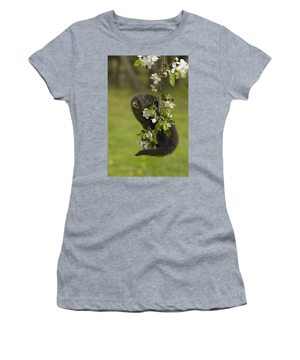 Fisher Women's T-Shirt featuring the photograph Dangling by Jack Milchanowski