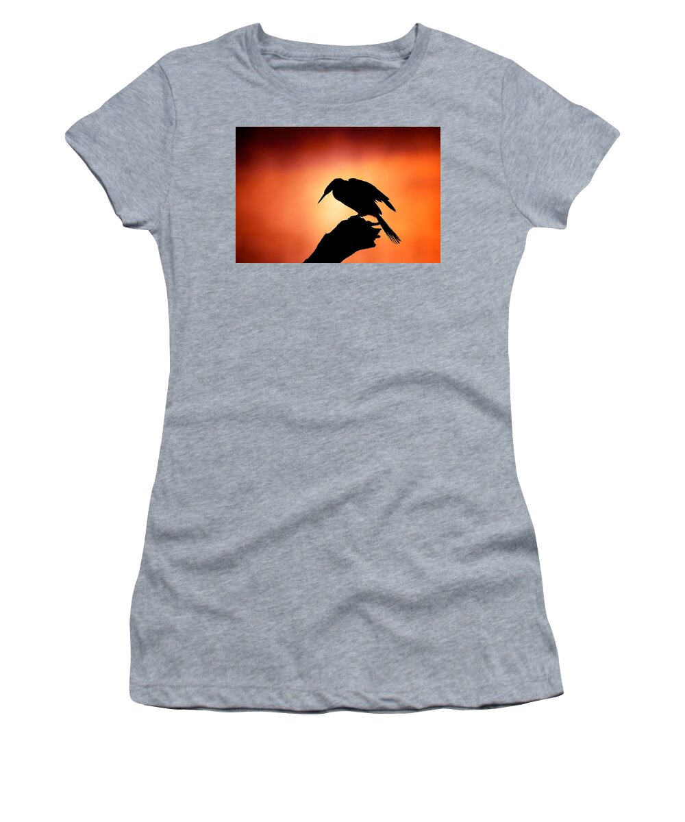 Darter Women's T-Shirt featuring the photograph Darter silhouette with misty sunrise by Johan Swanepoel