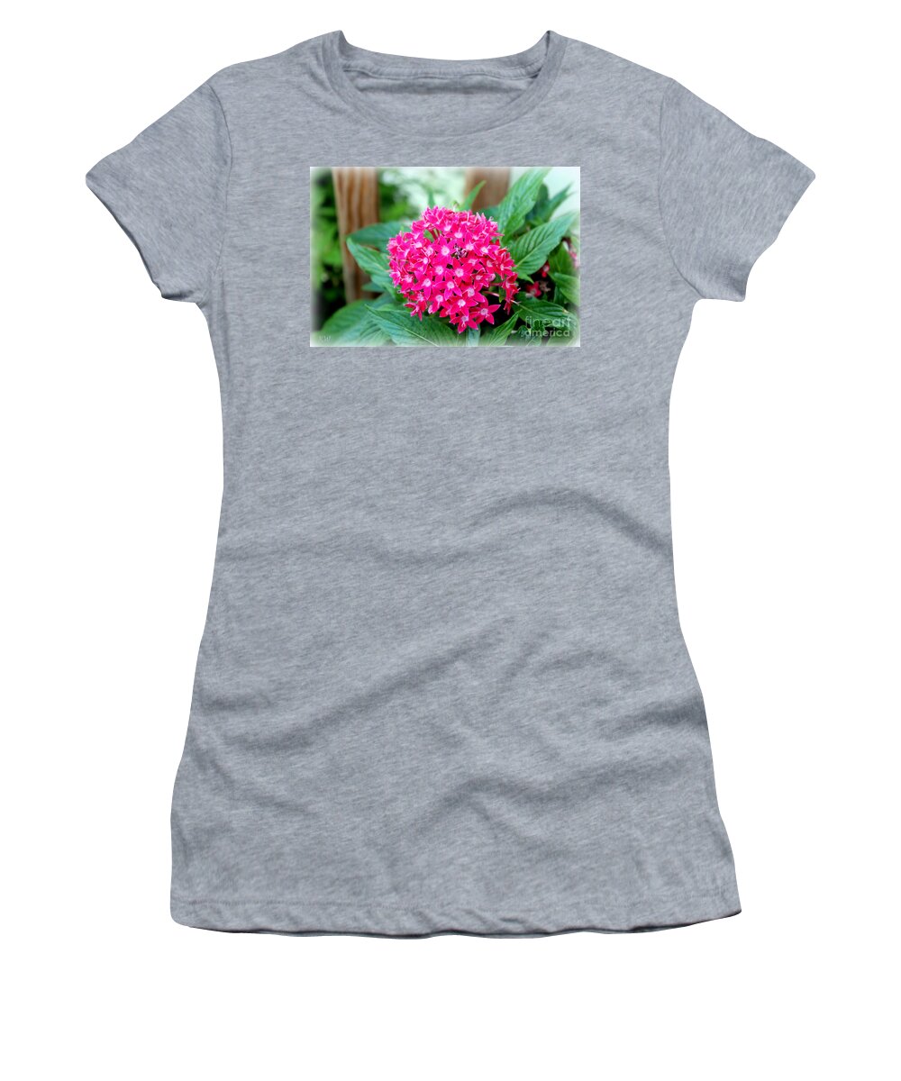Deep Pink Pentas Women's T-Shirt featuring the photograph Deep Pink Pentas or Star Flower by Kathy White