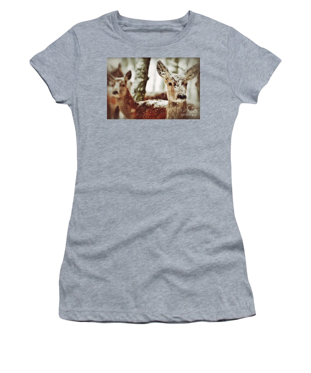 Closeup Women's T-Shirt featuring the photograph Deer in the snow by Nick Biemans