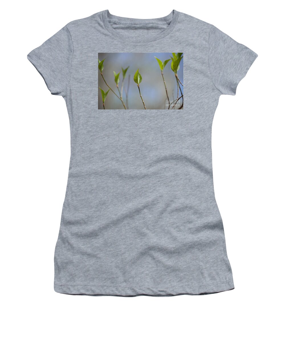 Indiana Women's T-Shirt featuring the photograph Detail of Spring by Alys Caviness-Gober