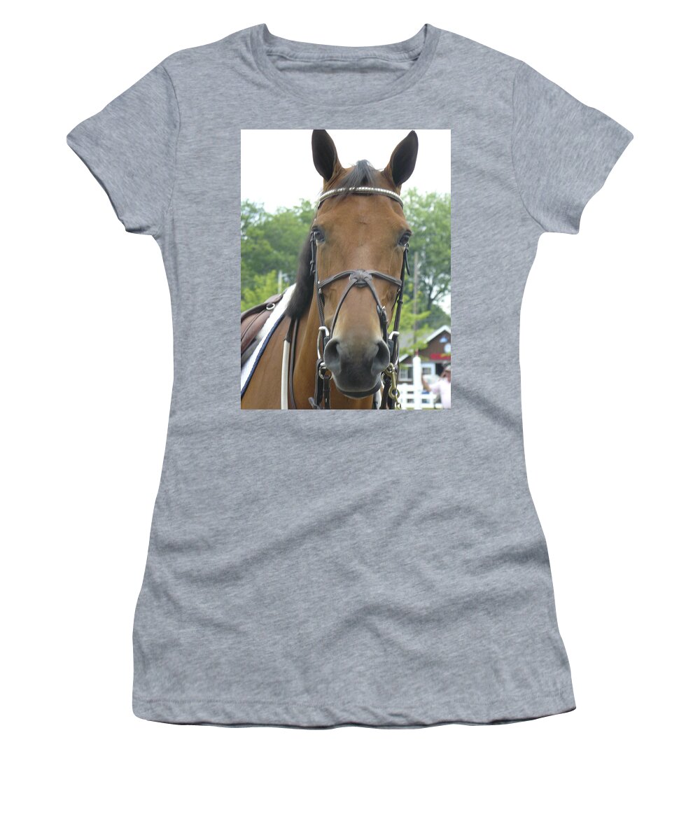 Horse Women's T-Shirt featuring the photograph Devon f by Mary Ann Leitch