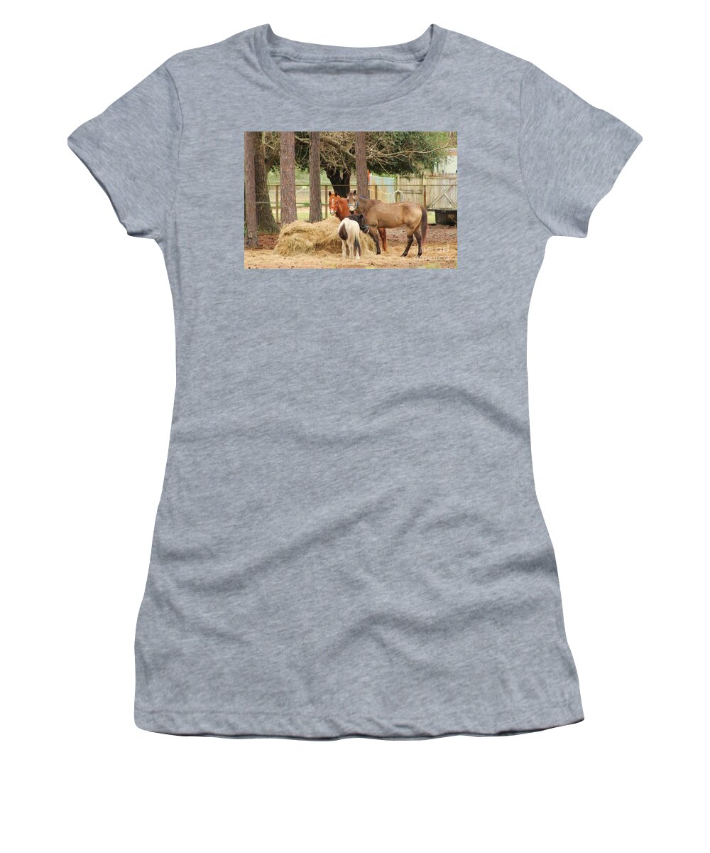 Horse Women's T-Shirt featuring the photograph Dinner Time 8 by Michelle Powell