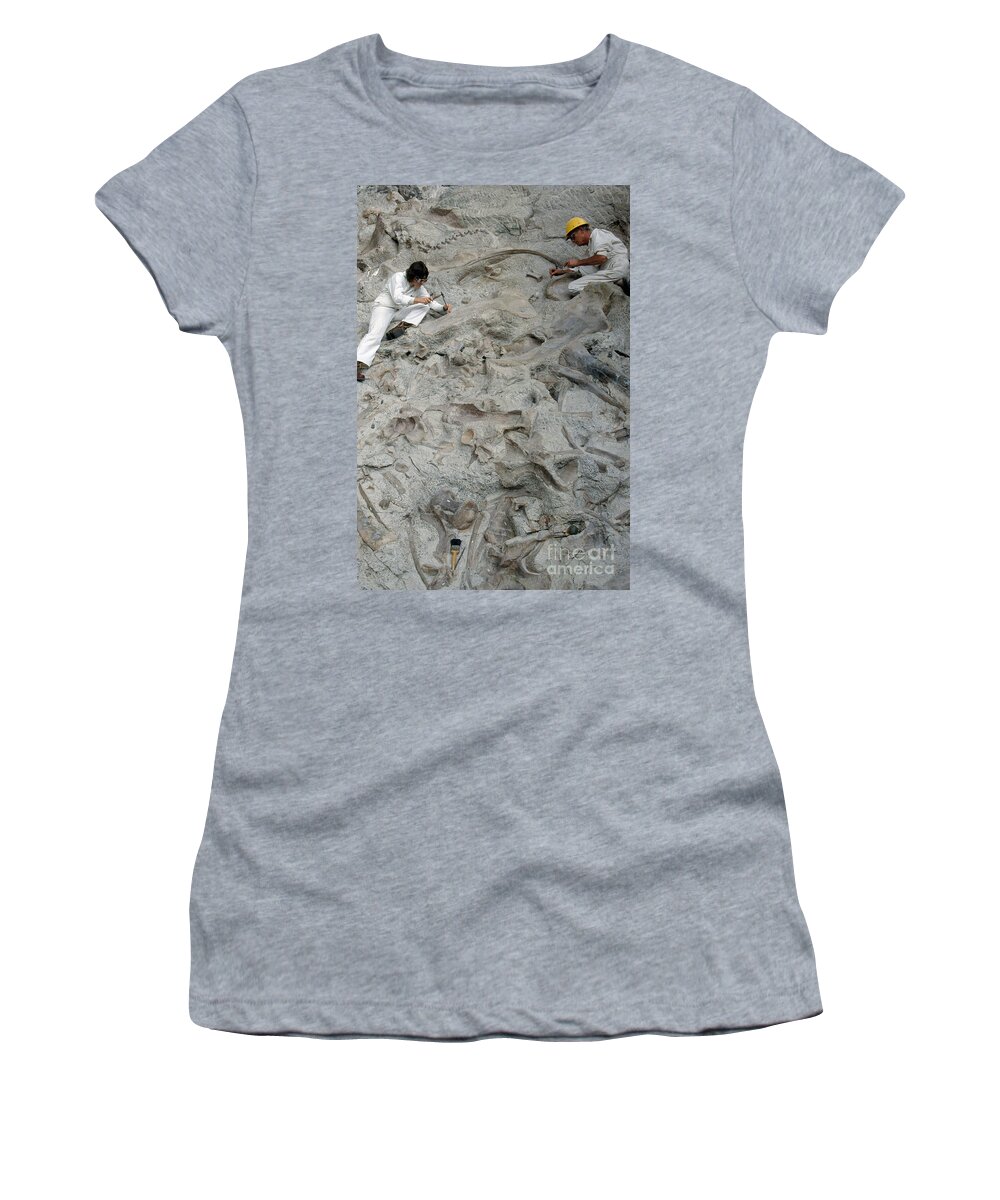 Excavation Women's T-Shirt featuring the photograph Dinosaur National Monument Park by James L. Amos