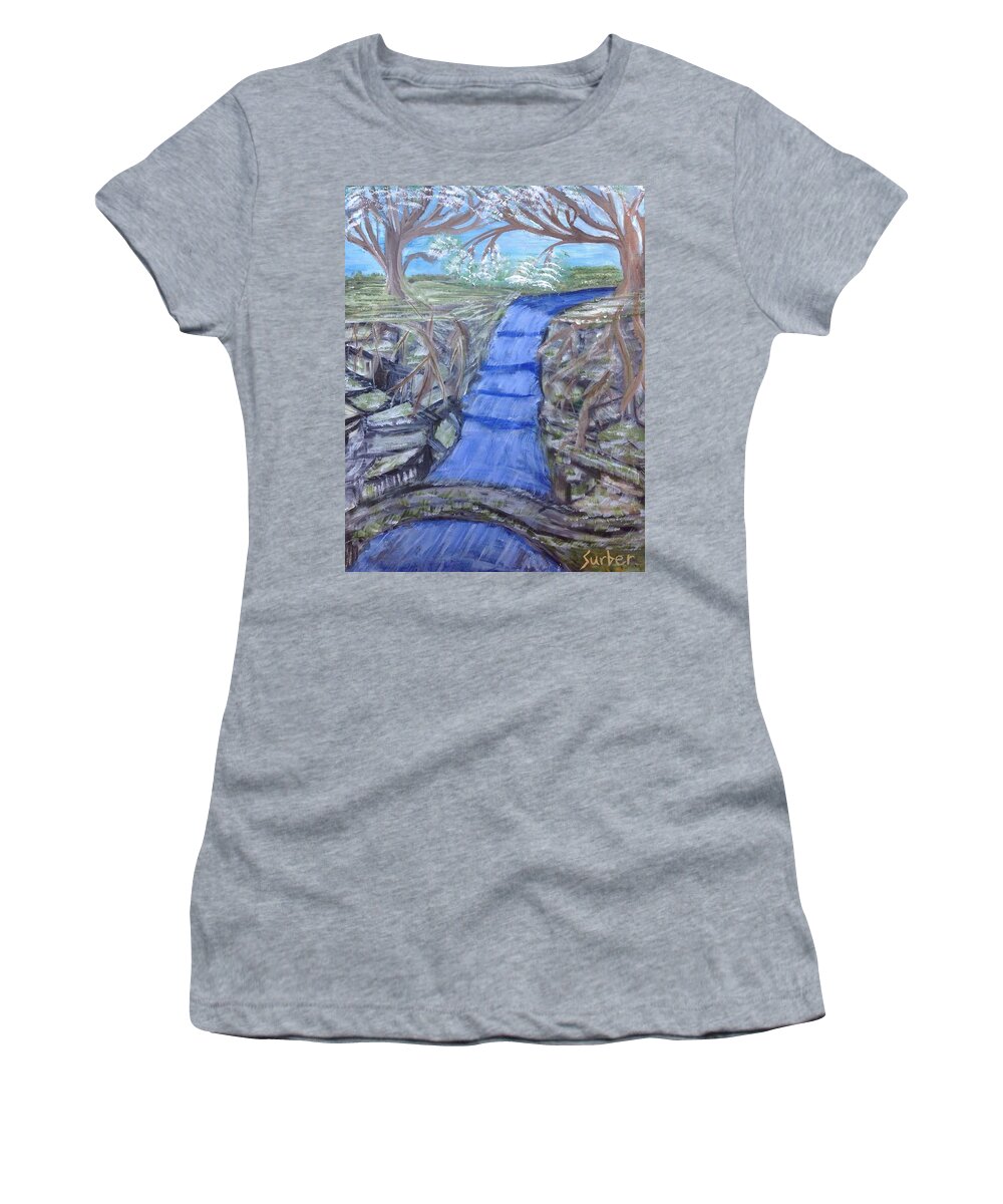 Falls Women's T-Shirt featuring the painting Doggie Woods by Suzanne Surber