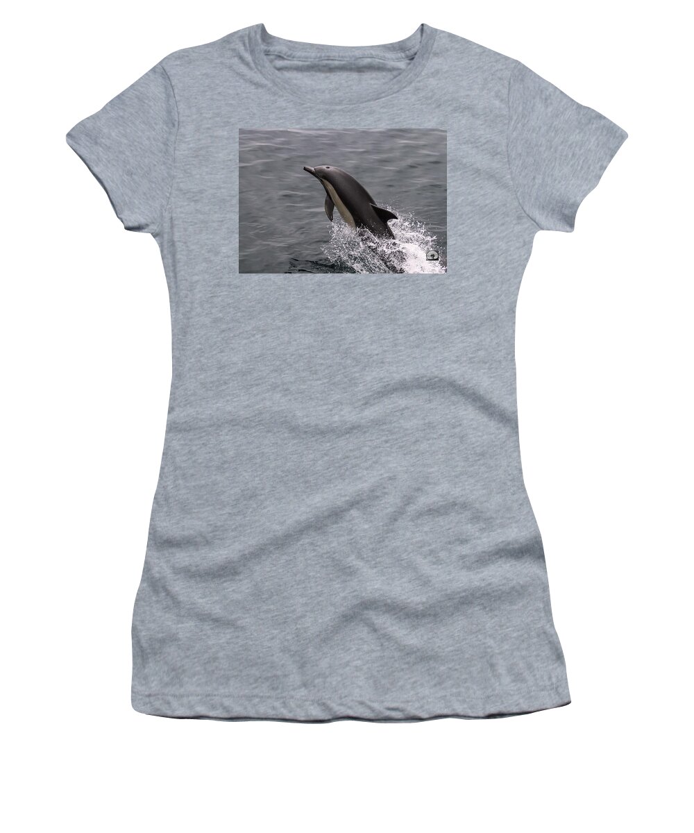 Dolphin Women's T-Shirt featuring the photograph Dolphin Greetings by Denise Dube