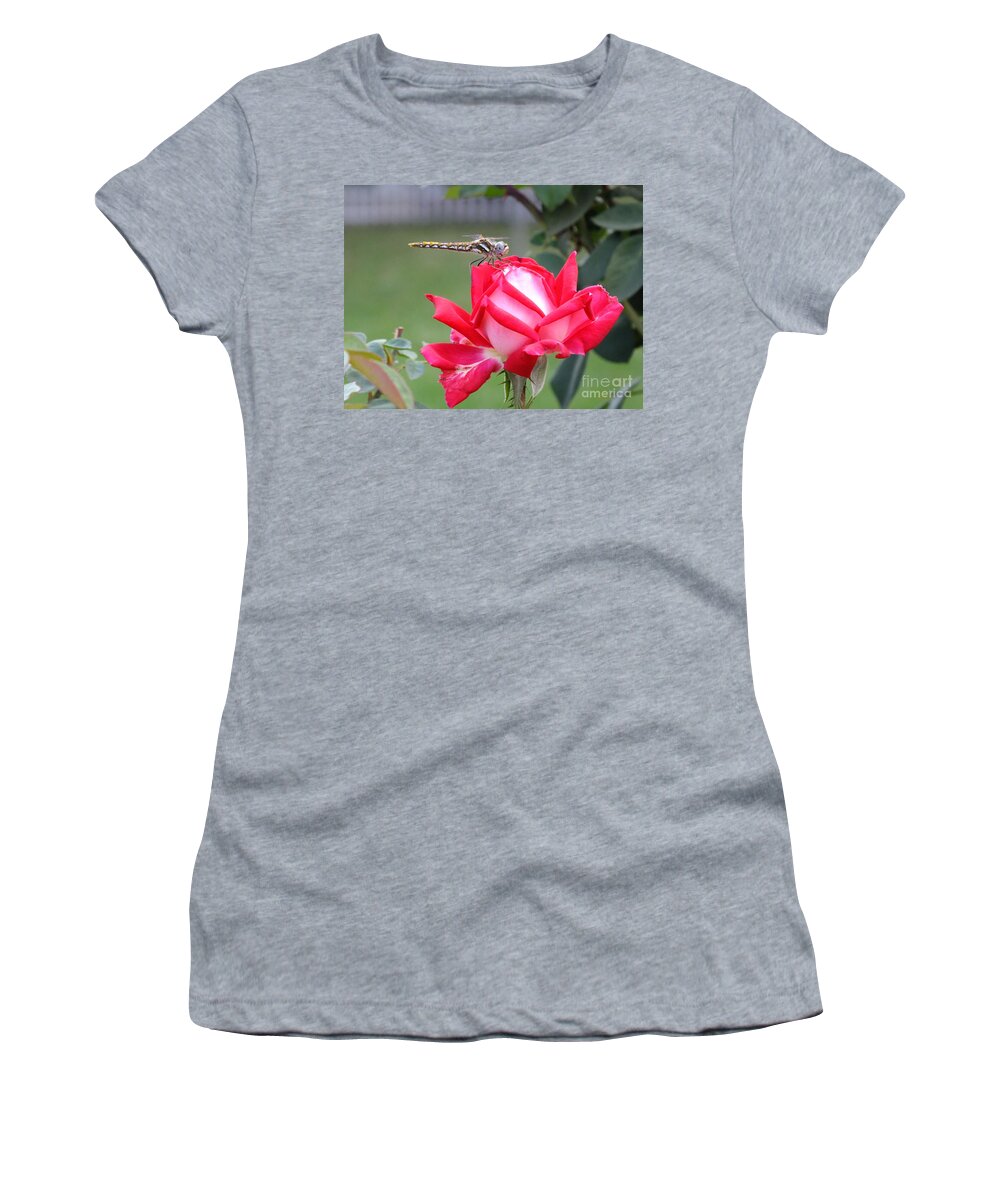 Dragon Fly Women's T-Shirt featuring the photograph Dragon's Kiss by Yenni Harrison