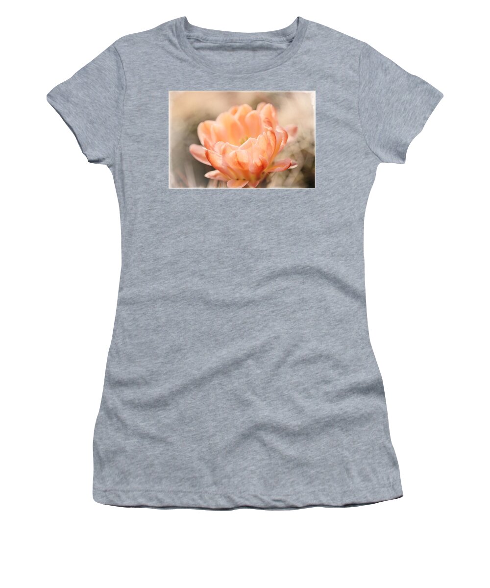 Cactus Women's T-Shirt featuring the photograph Dreaming... Just Dreaming by Lucinda Walter