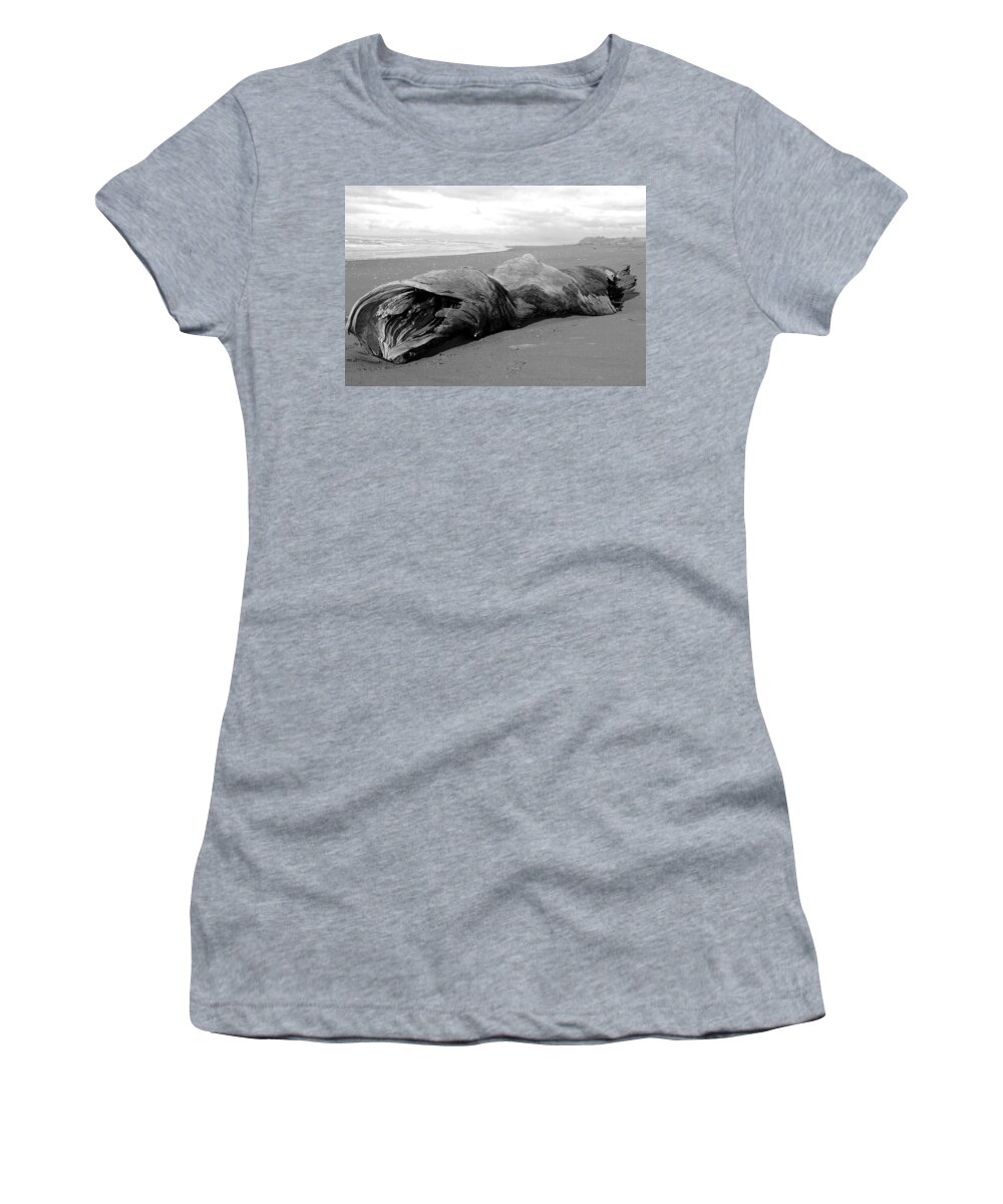 Driftwood Women's T-Shirt featuring the photograph Drifter II by Leigh Meredith
