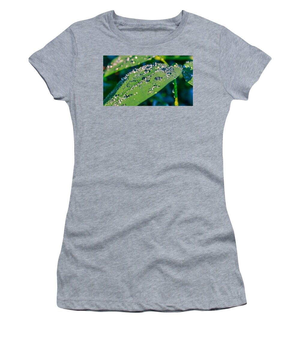 Abstract Women's T-Shirt featuring the photograph Droplets by Rob Sellers
