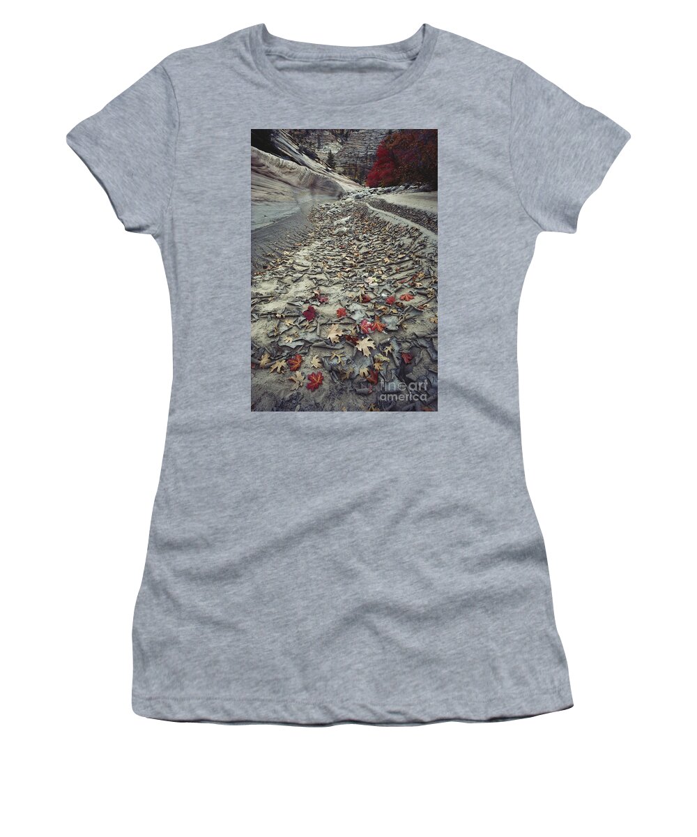 River Channel Women's T-Shirt featuring the photograph Dry River In Zion Np by Art Wolfe