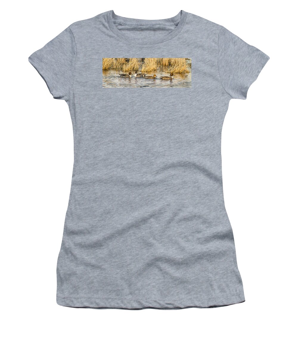 Ducks In A Row Women's T-Shirt featuring the photograph Ducks in a Row by Jean Noren