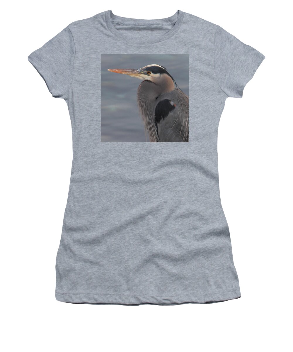 Bird Women's T-Shirt featuring the photograph Early Bird 2 by Randy Hall
