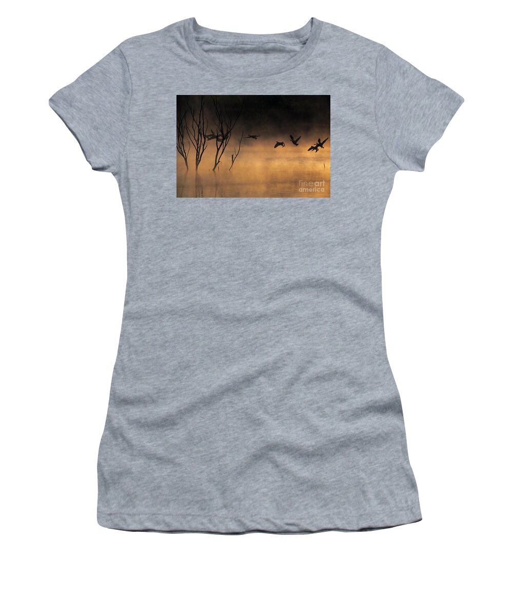 Lake Women's T-Shirt featuring the photograph Early Morning Flight by Elizabeth Winter