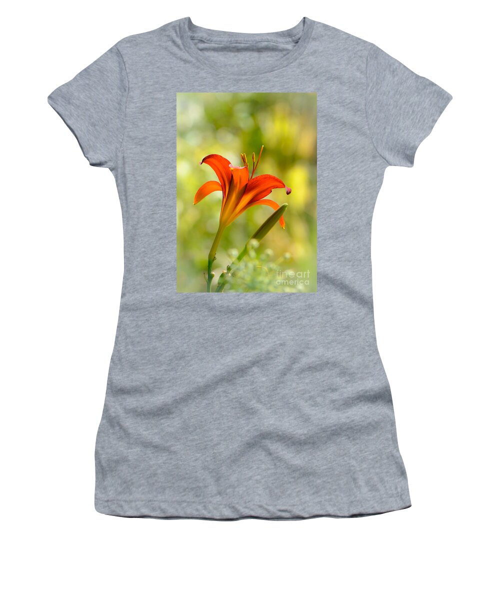 Daylily Women's T-Shirt featuring the photograph Early Morning Portrait by Amy Porter