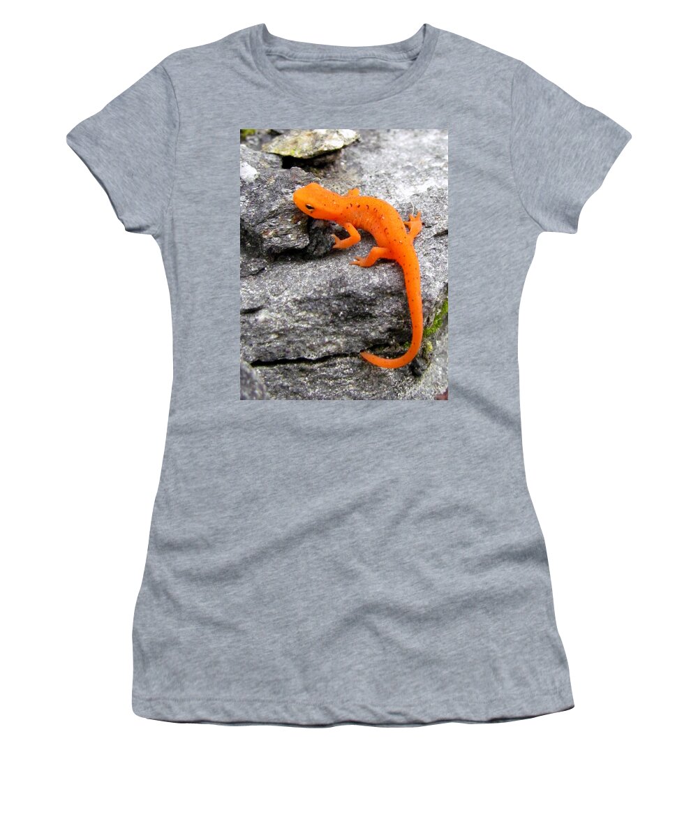 Lizard Women's T-Shirt featuring the photograph Morphing In Massachusetts by Lori Lafargue