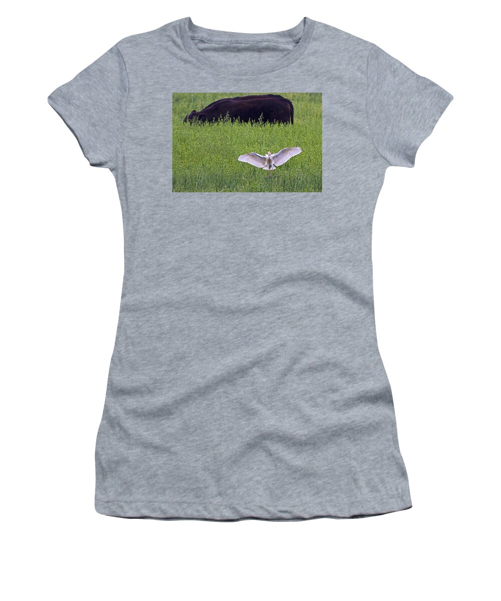 Cattle Egret Women's T-Shirt featuring the photograph Egret Egress by Gary Holmes