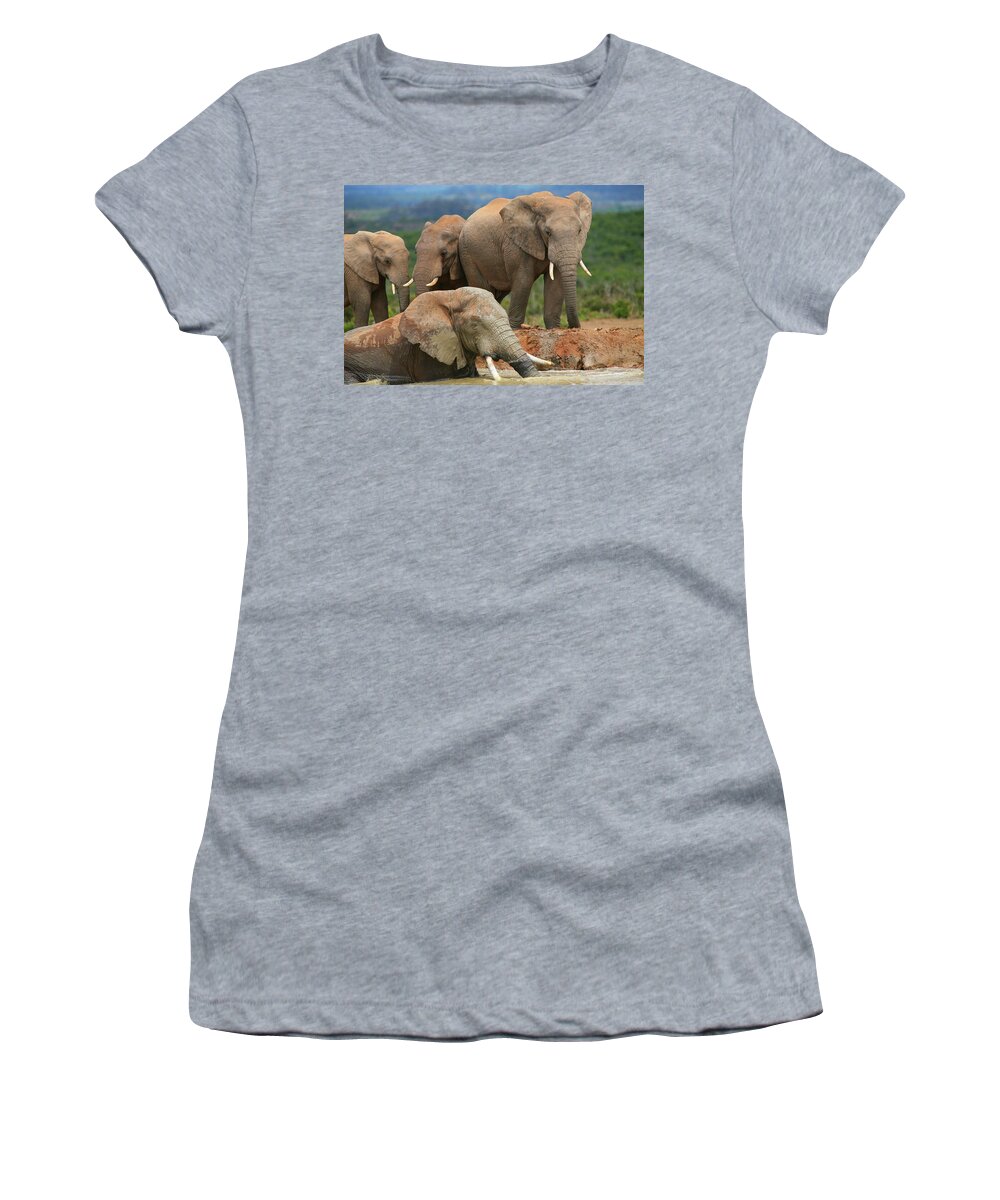 Elephant Women's T-Shirt featuring the photograph Elephant Bath by Bruce J Robinson