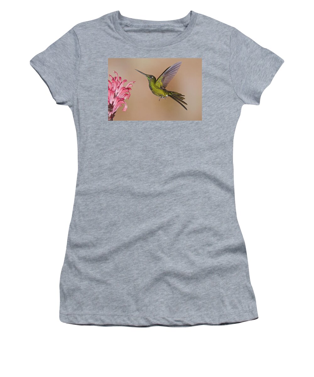 Feb0514 Women's T-Shirt featuring the photograph Empress Brilliant Hummingbird Feeding by Steve Gettle