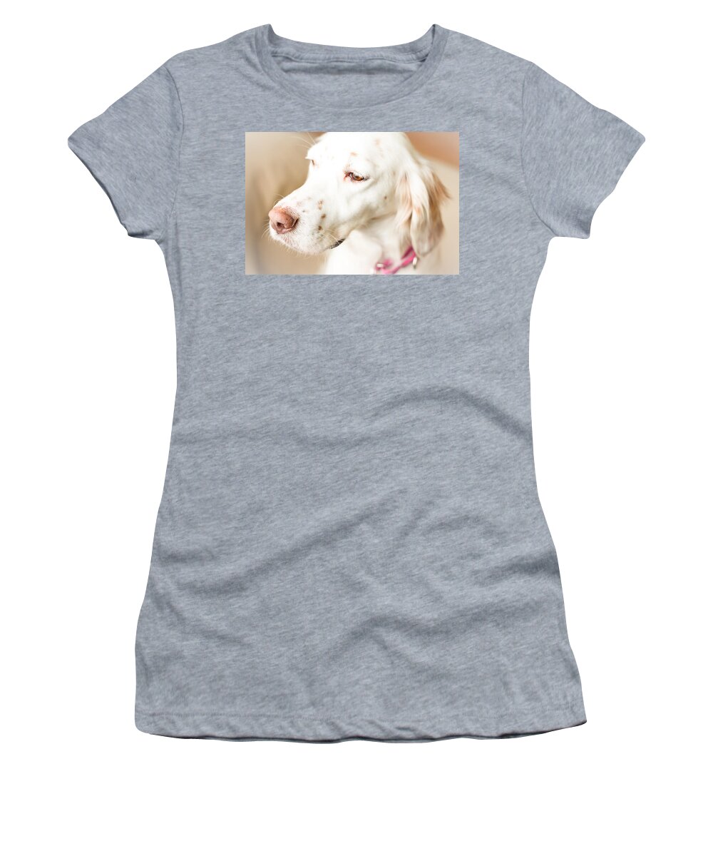 English Setter Women's T-Shirt featuring the photograph English Setter in Natural Light by Brian Caldwell