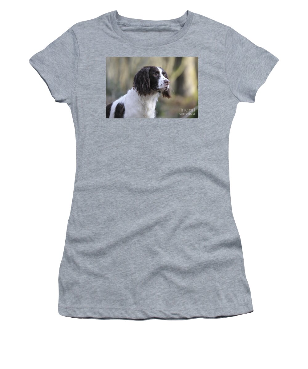 Dog Women's T-Shirt featuring the photograph English Springer Spaniel by John Daniels