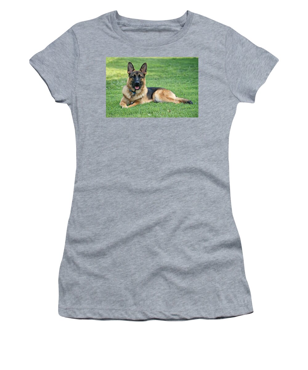 German Shepherd Women's T-Shirt featuring the photograph Enjoying a Summer Morning by Sandy Keeton
