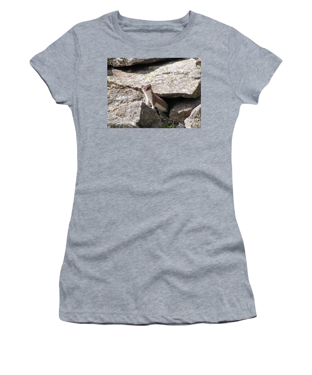 Alert Women's T-Shirt featuring the photograph Ermine by Antonio Scarpi